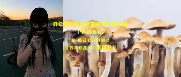 каннабис Новодвинск