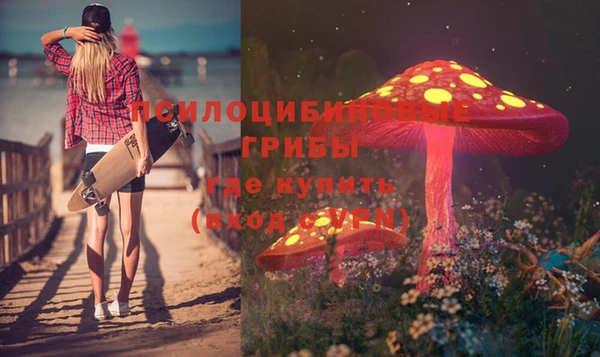 трава Новозыбков