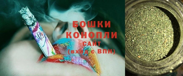 трава Новозыбков