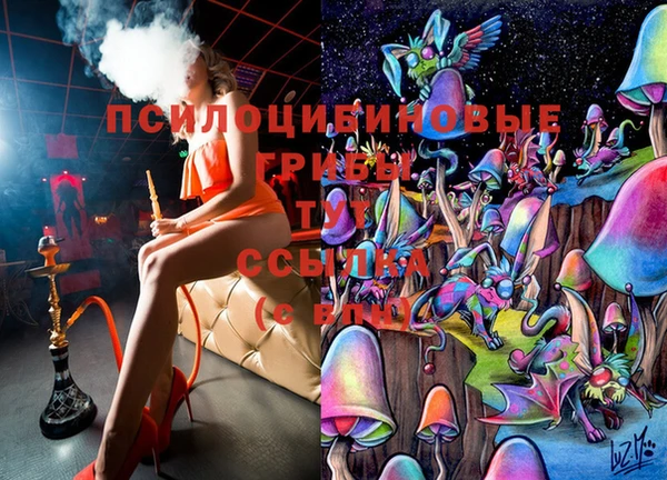 бошки Новокубанск