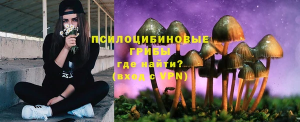 ECSTASY Белая Калитва