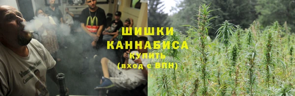 трава Новозыбков